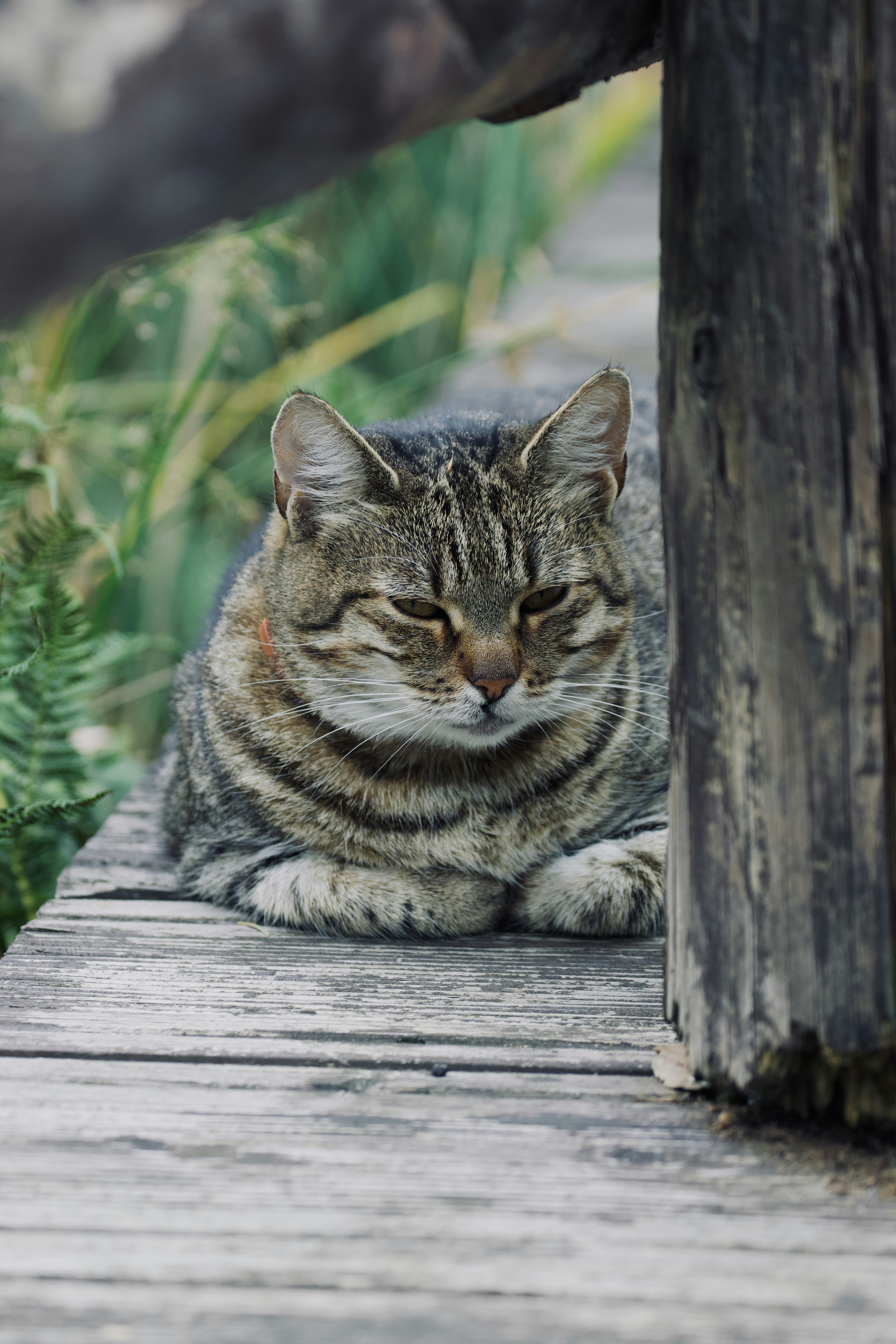 Photo by jakub_neskora