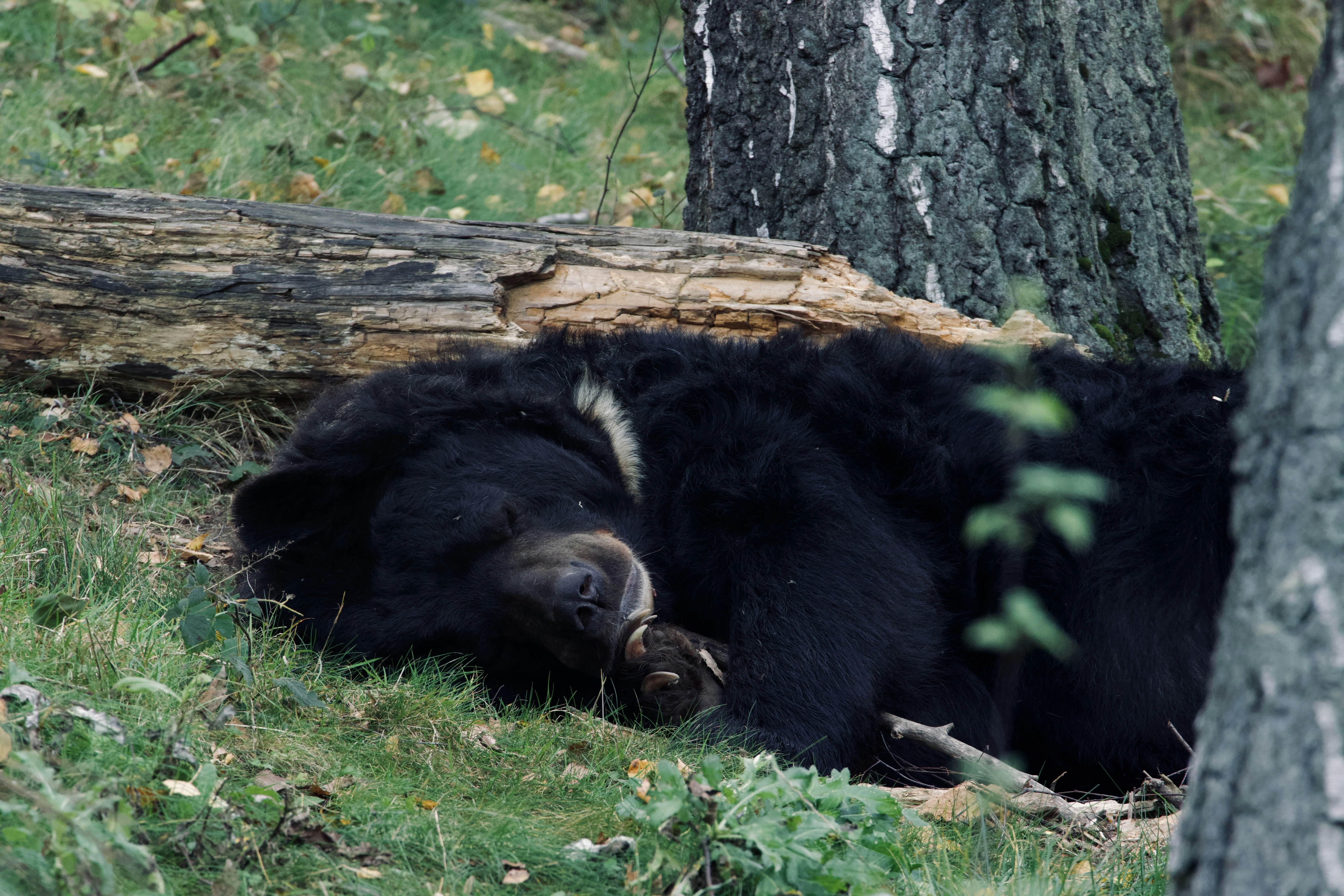 Photo by jakub_neskora