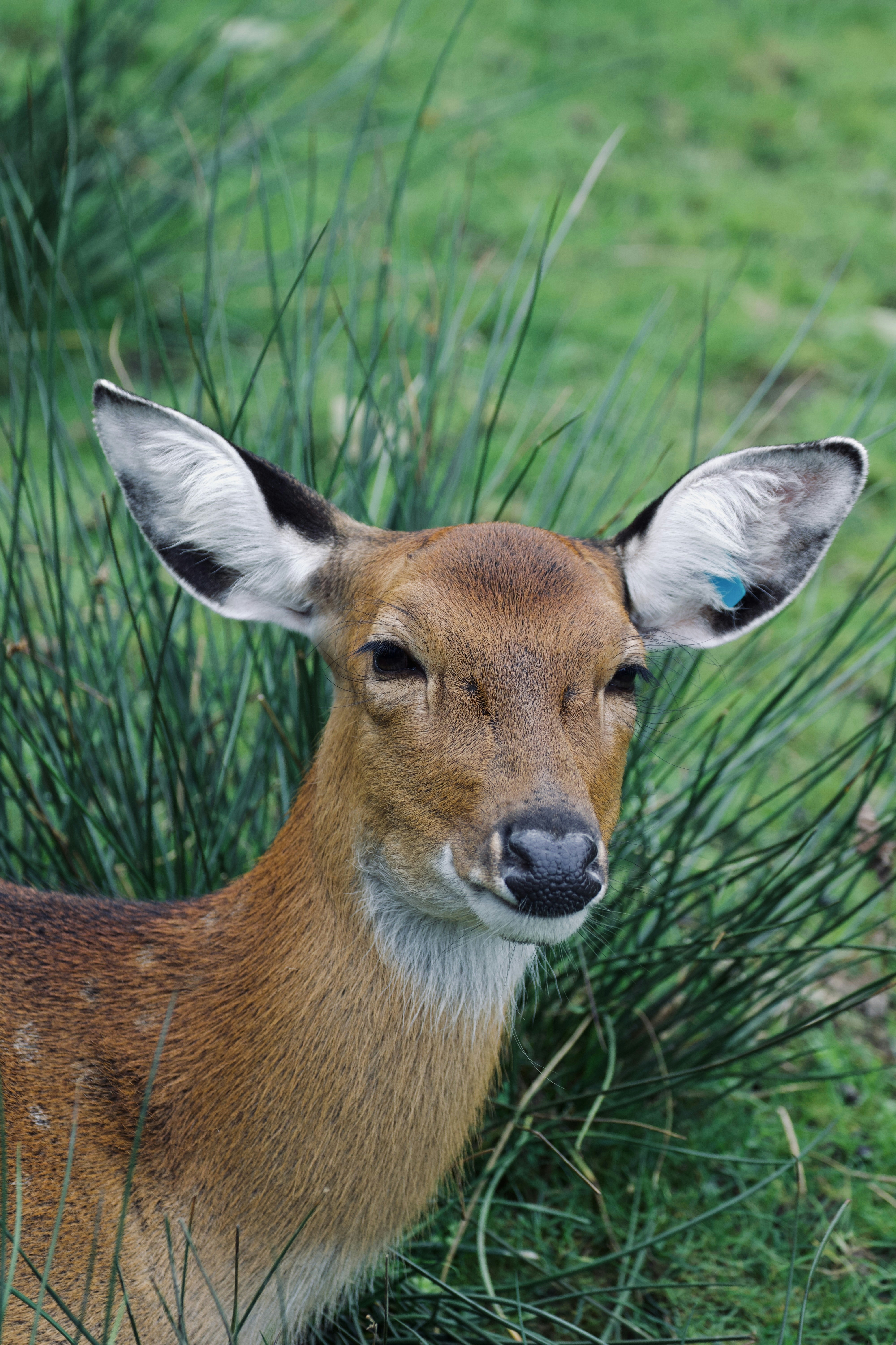 Photo by jakub_neskora