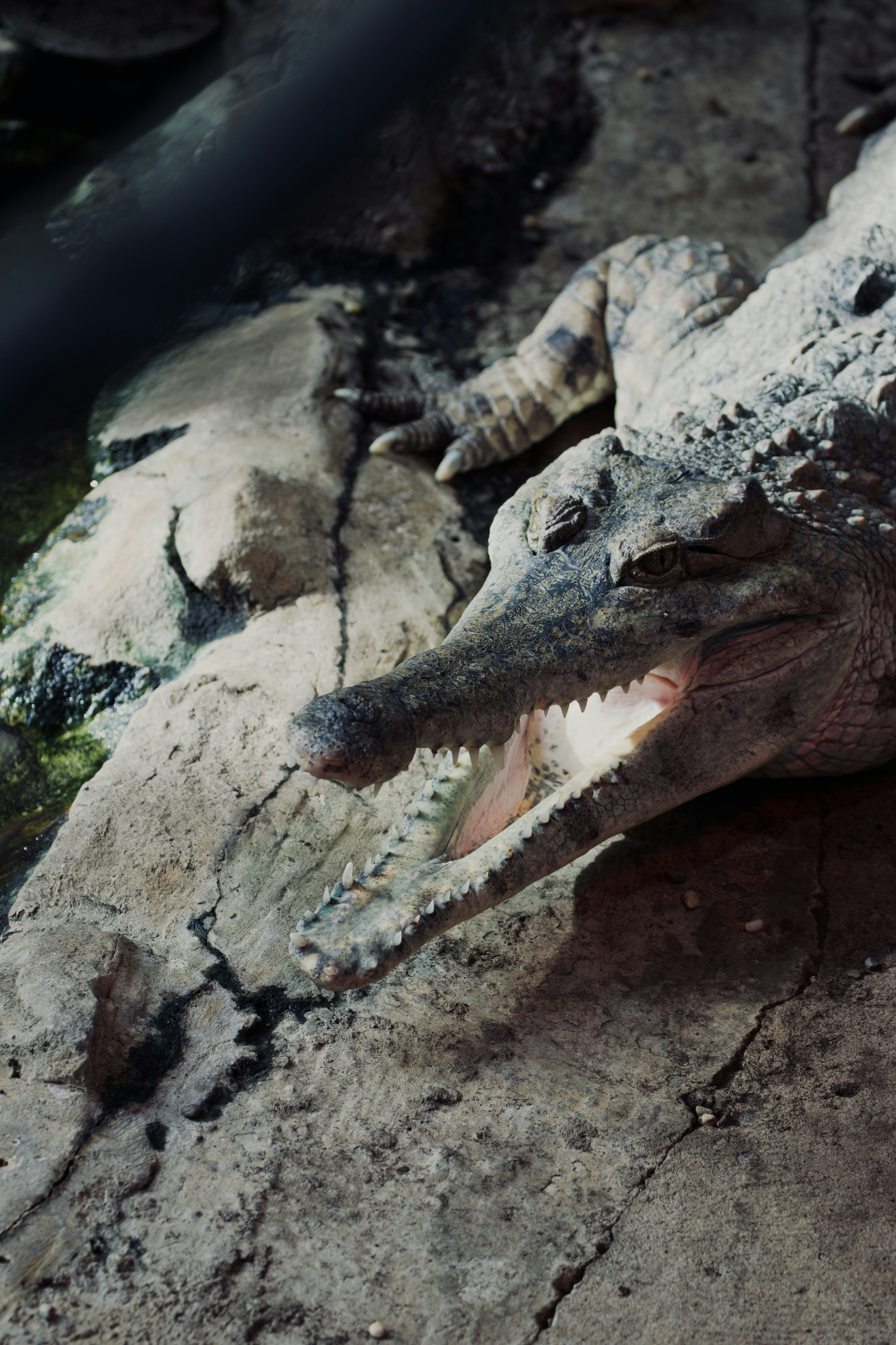 Photo by jakub_neskora