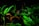 In an aquarium setting, vibrant green aquatic plants surround several clay pots and a few fish swim nearby. The lighting is low, creating a serene and natural underwater environment.
