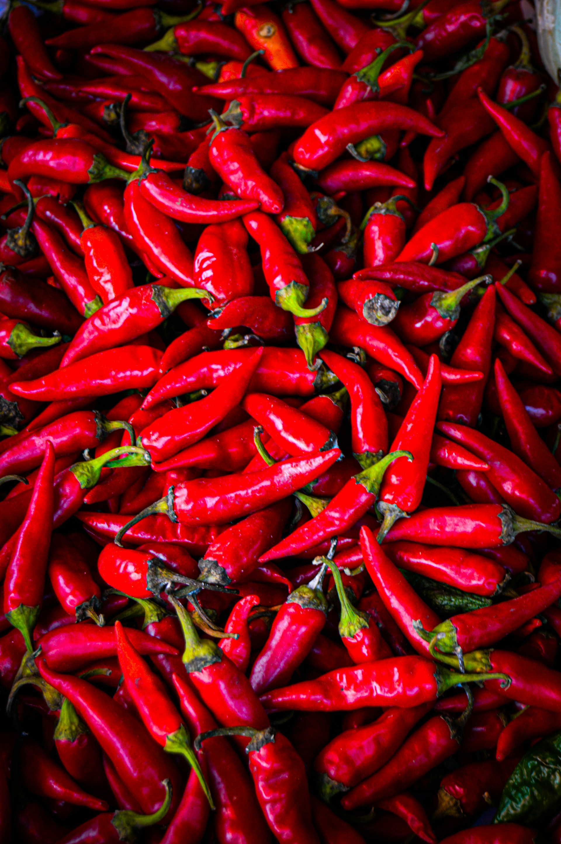 A vibrant bowl of bright red silk chili flakes placed next to fresh olive branches, capturing the rich texture and color contrast.