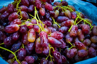 A vibrant bunch of grapes symbolizing a collection of code.