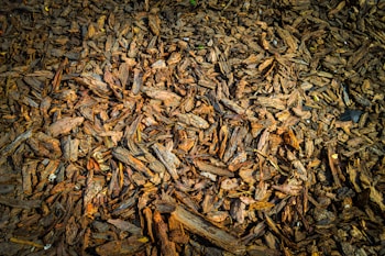 A collection of overlapping, irregularly shaped pieces of brown bark mulch spread out over a ground surface. The texture appears rough with various shades of brown and bits of bark pointing in different directions.