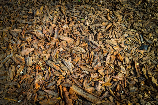 A collection of overlapping, irregularly shaped pieces of brown bark mulch spread out over a ground surface. The texture appears rough with various shades of brown and bits of bark pointing in different directions.