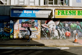 A street scene with vibrant graffiti art covering store shutters, including a cartoonish character with large eyes and a stylized depiction of other elements. There is a passing pedestrian carrying a cardboard box, casting a shadow on the pavement. The storefronts include signs for a pet shop and fresh goods market.