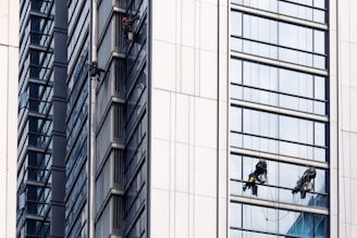 Several workers are suspended on the side of a modern skyscraper, engaged in cleaning the windows. They are equipped with safety harnesses and ropes, operating from different heights along the building's facade. The building's surface features reflective glass panels that capture the surrounding environment.