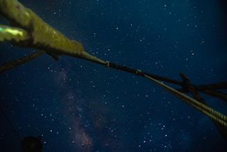 Nighttime view of the ship’s illuminated funnel against a starry sky, inviting adventure.