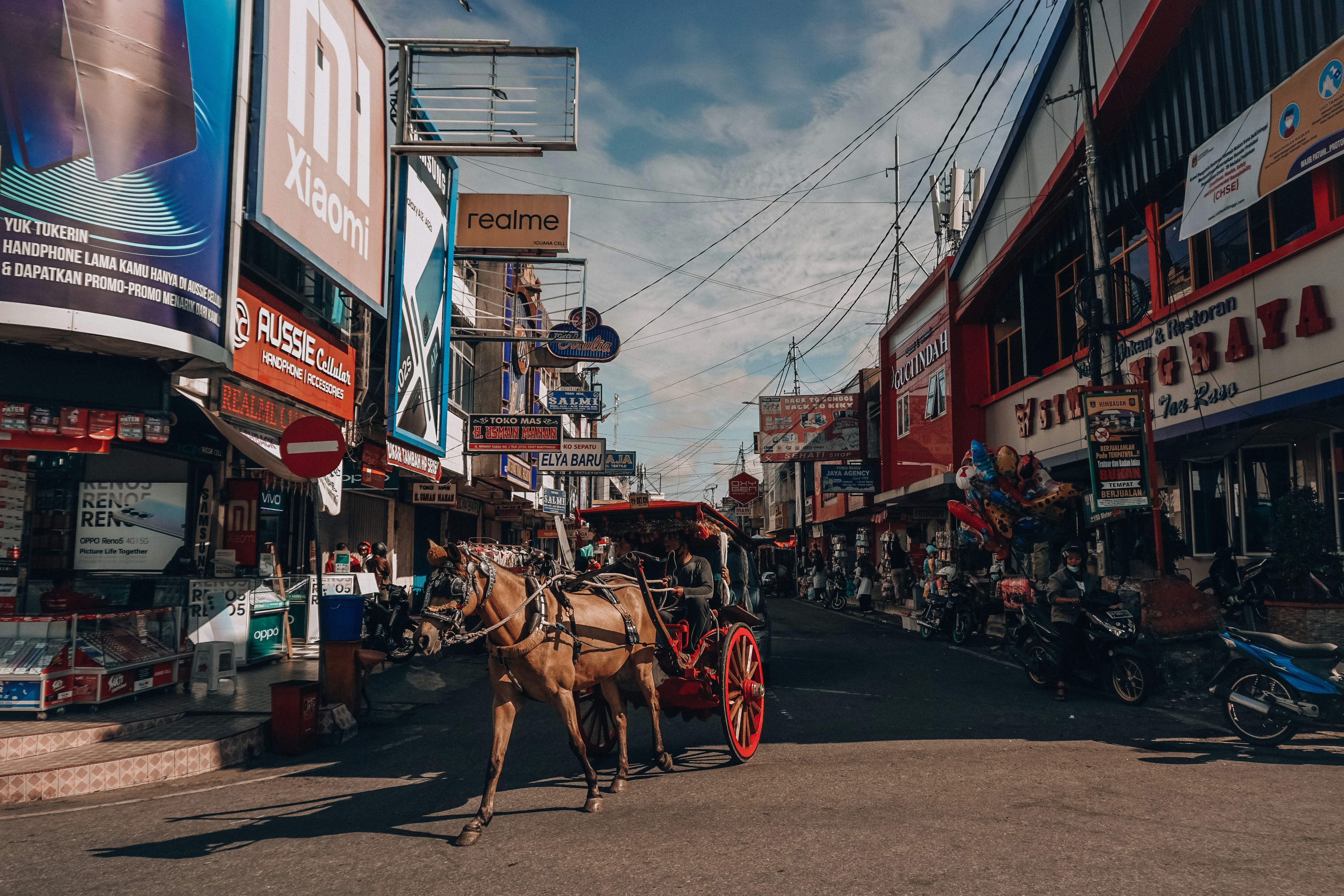 a horse drawn carriage on a city street