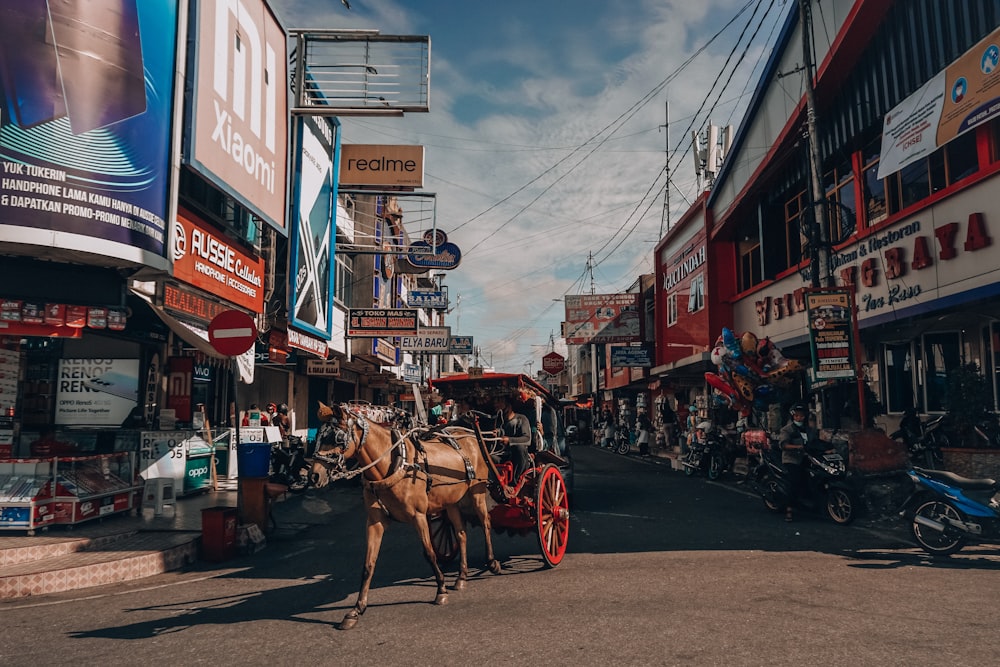 a horse drawn carriage on a city street