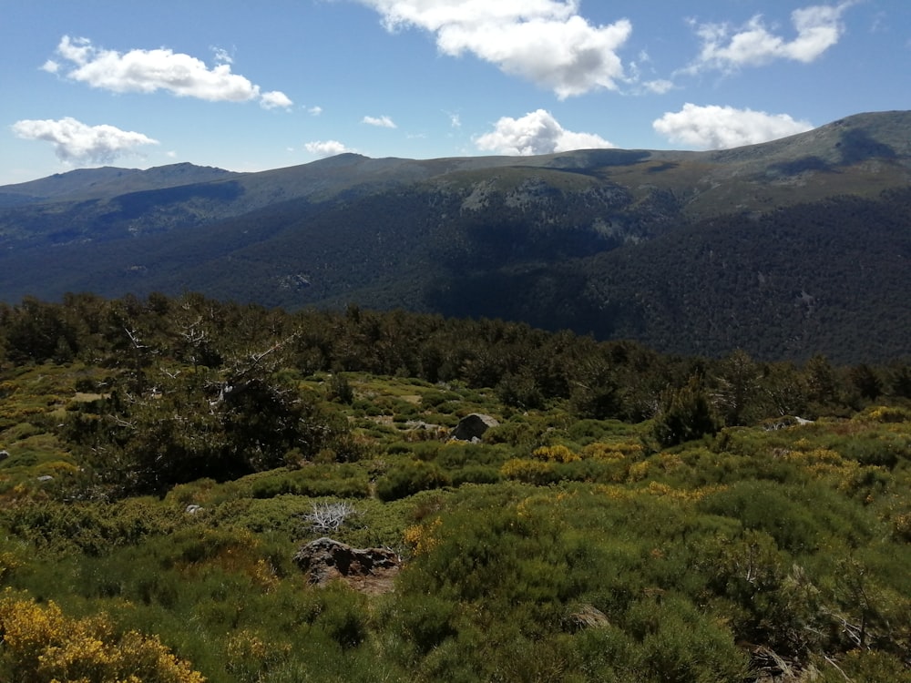 a view of a mountain range from a distance