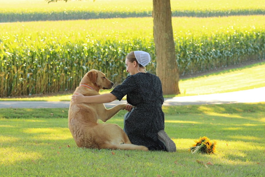 Happy senior dog playing gently with owner