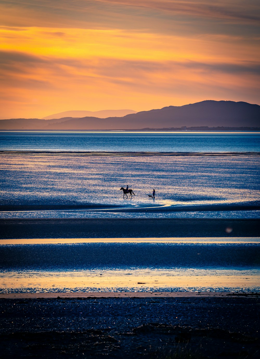 a couple of people riding horses on top of a beach