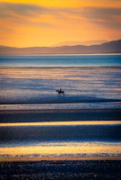 A lone rider on horseback crossing the vast Mongolian steppe under a fiery sunset.