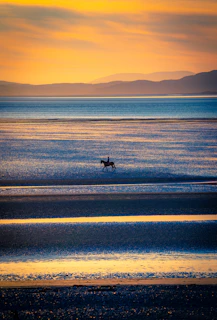 Horseback riders exploring the scenic Costanera coastline at golden hour