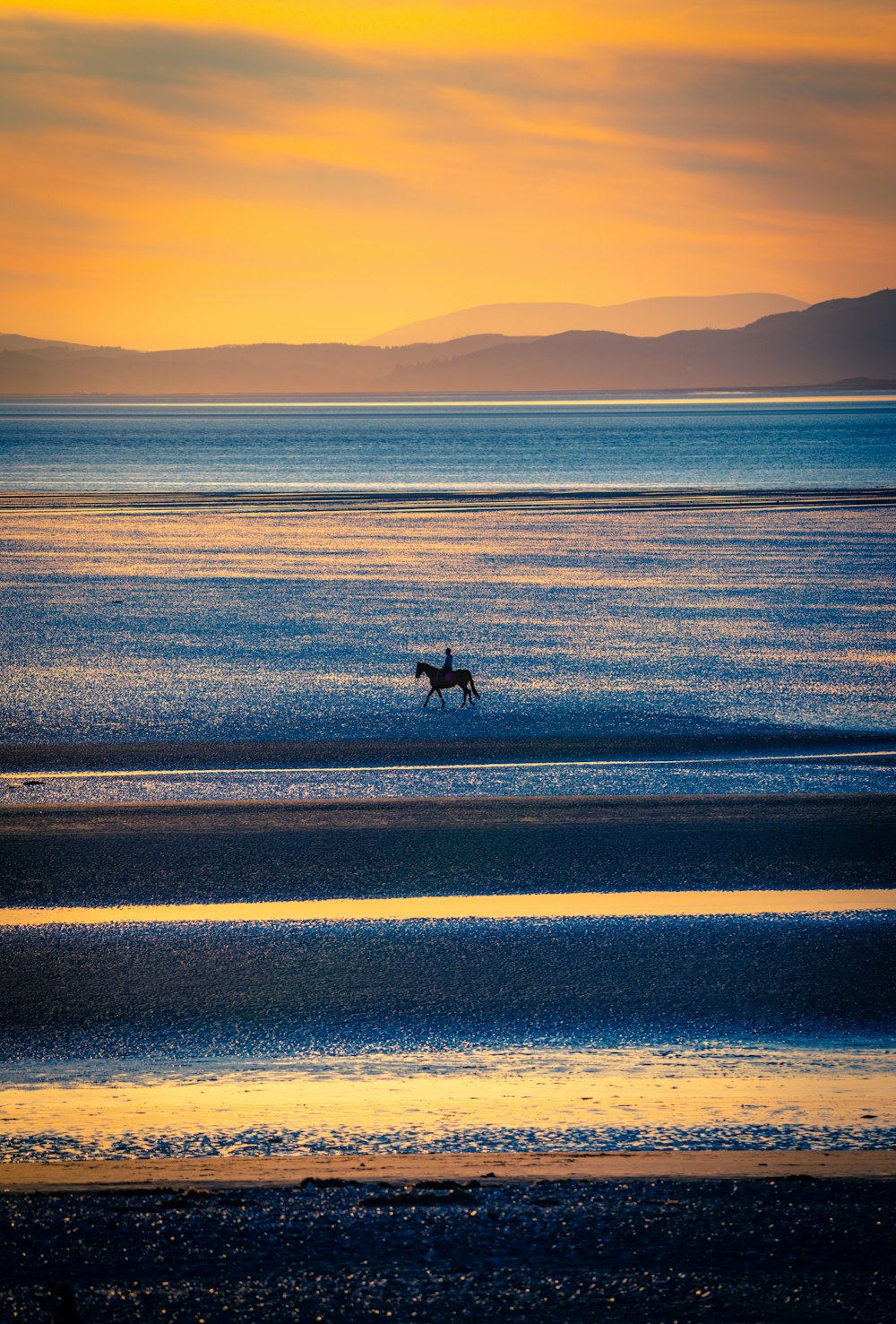 a person riding a horse on the beach at sunset
