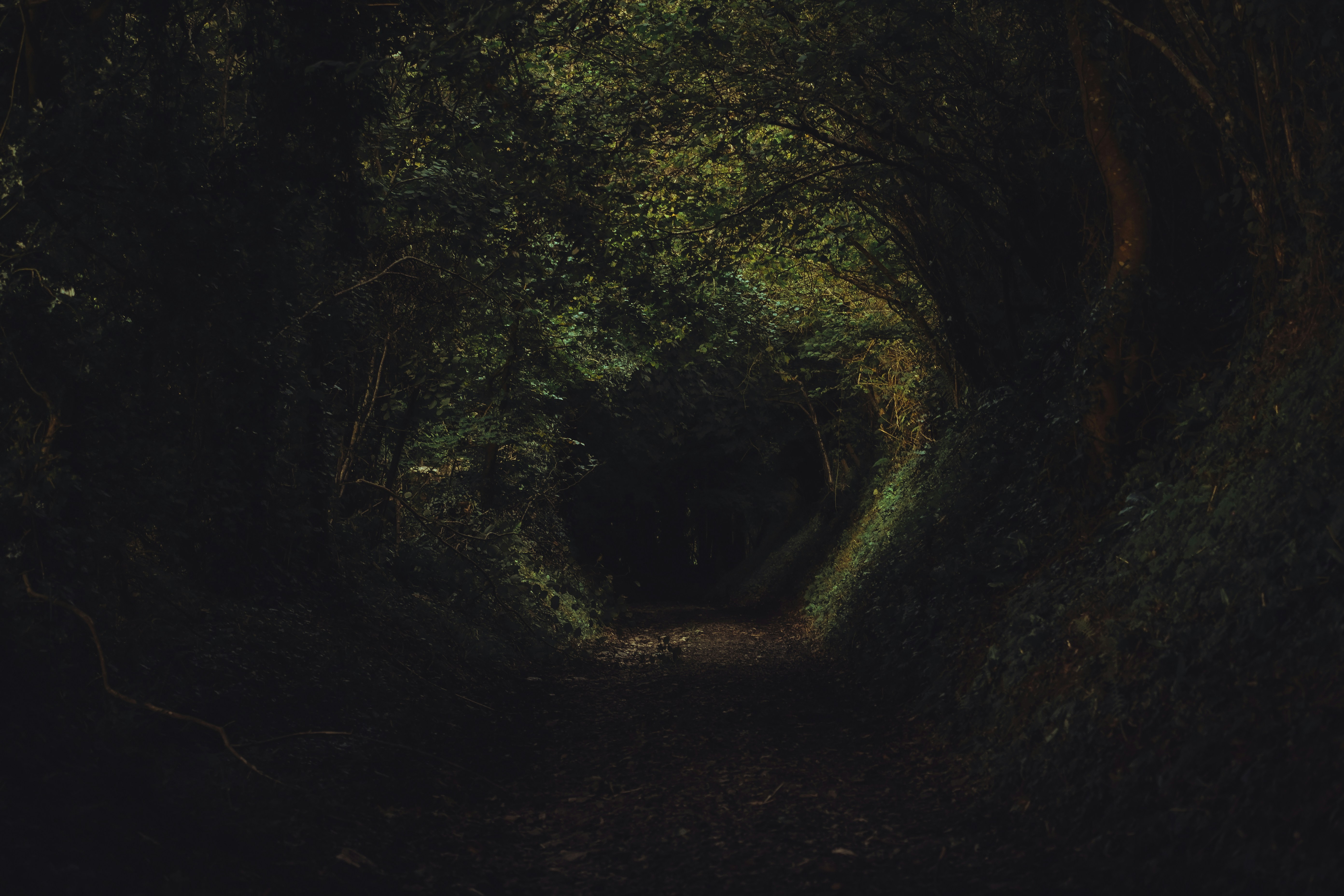 Addiction as Fieldcraft