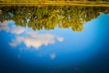 Reflection of trees and sky on a still lake surface.