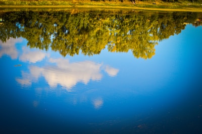 Reflection of trees and sky on a still lake surface.