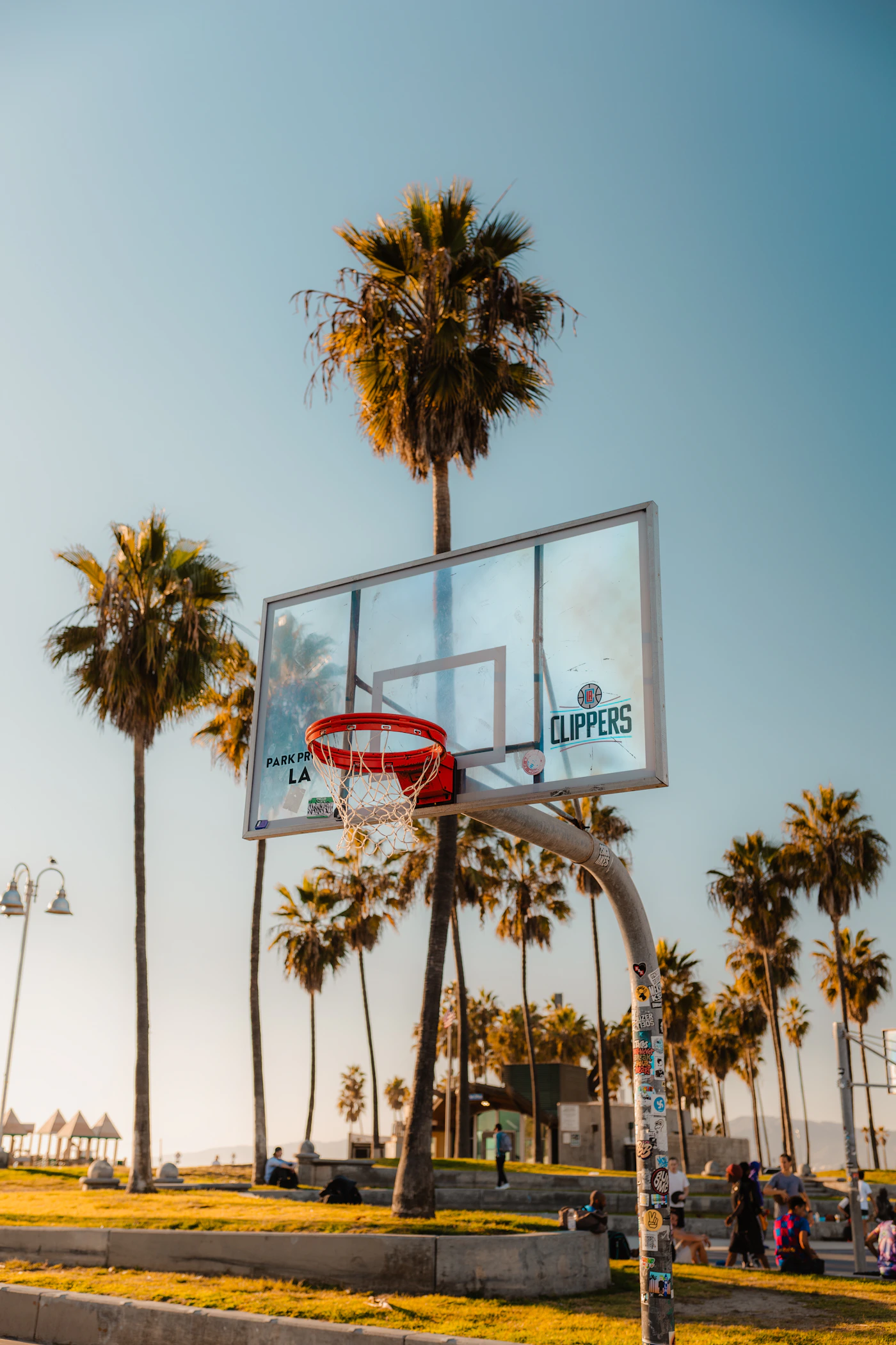 Venice Beach basketball courts with palm trees — community recreation in the neighborhood