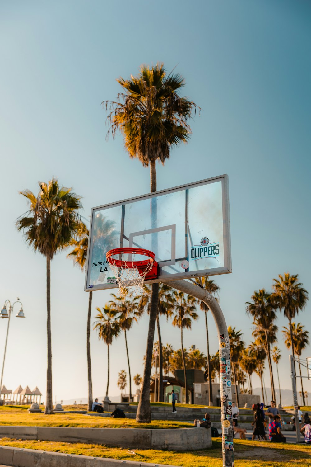 a basketball court with palm trees in the background