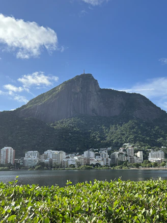 a view of a city with a mountain in the background