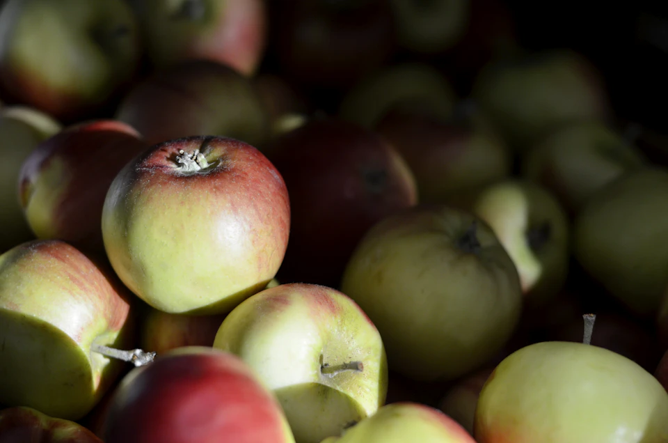 The image shows a close-up view of a pile of apples, with at least 12 apples visible. The majority of these apples are green and red, indicating that they are fresh and ripe. Some of the apples have small brown spots on their skin, suggesting they may be slightly overripe or starting to rot. The background is dark and out of focus, drawing attention to the vibrant colors and textures of the apples in the foreground.