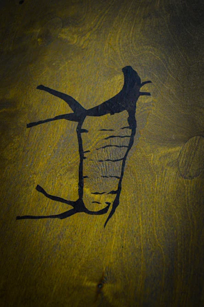 A bright, abstract carrot rendered with clean lines and warm tones.