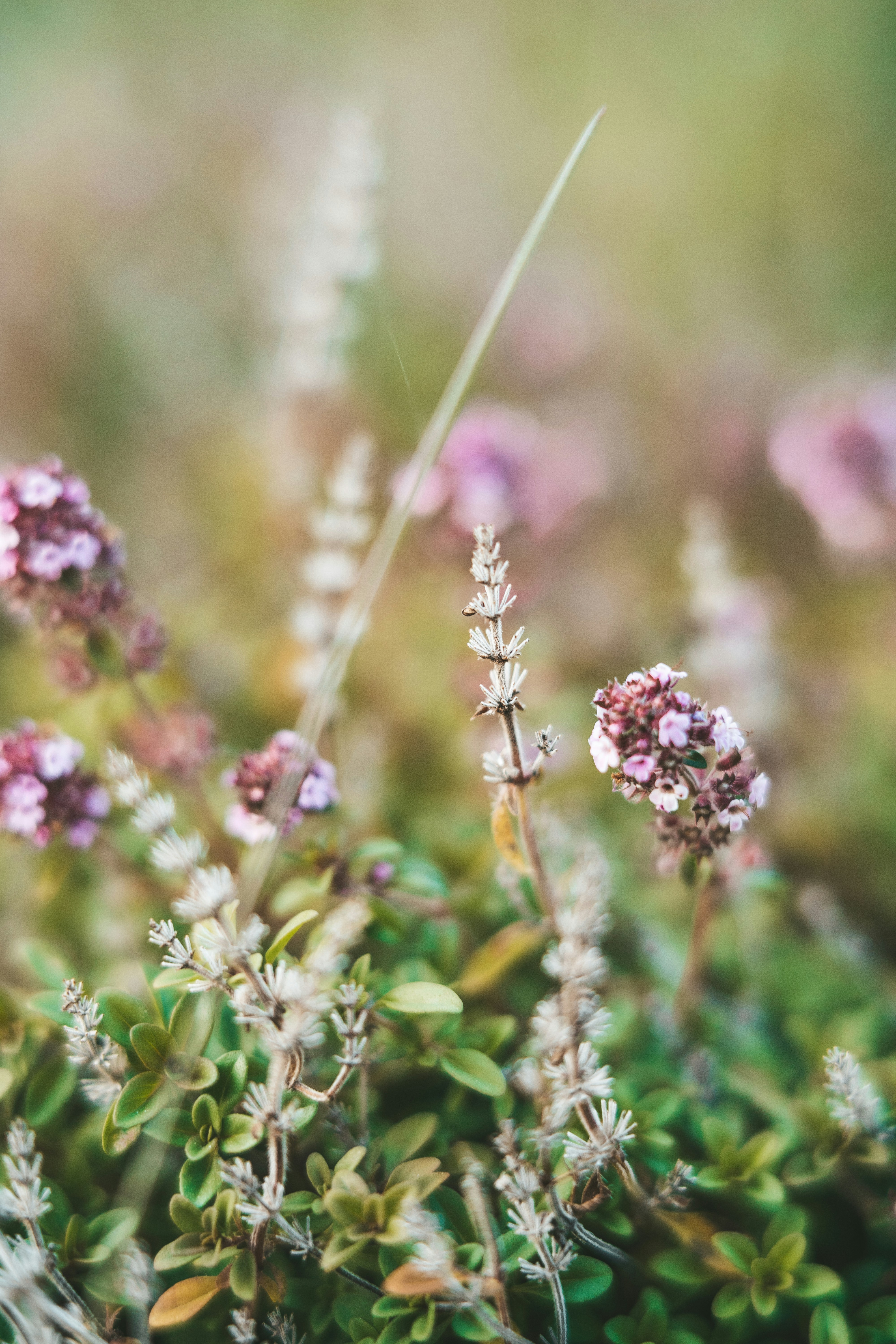 Photo by anamnesis33