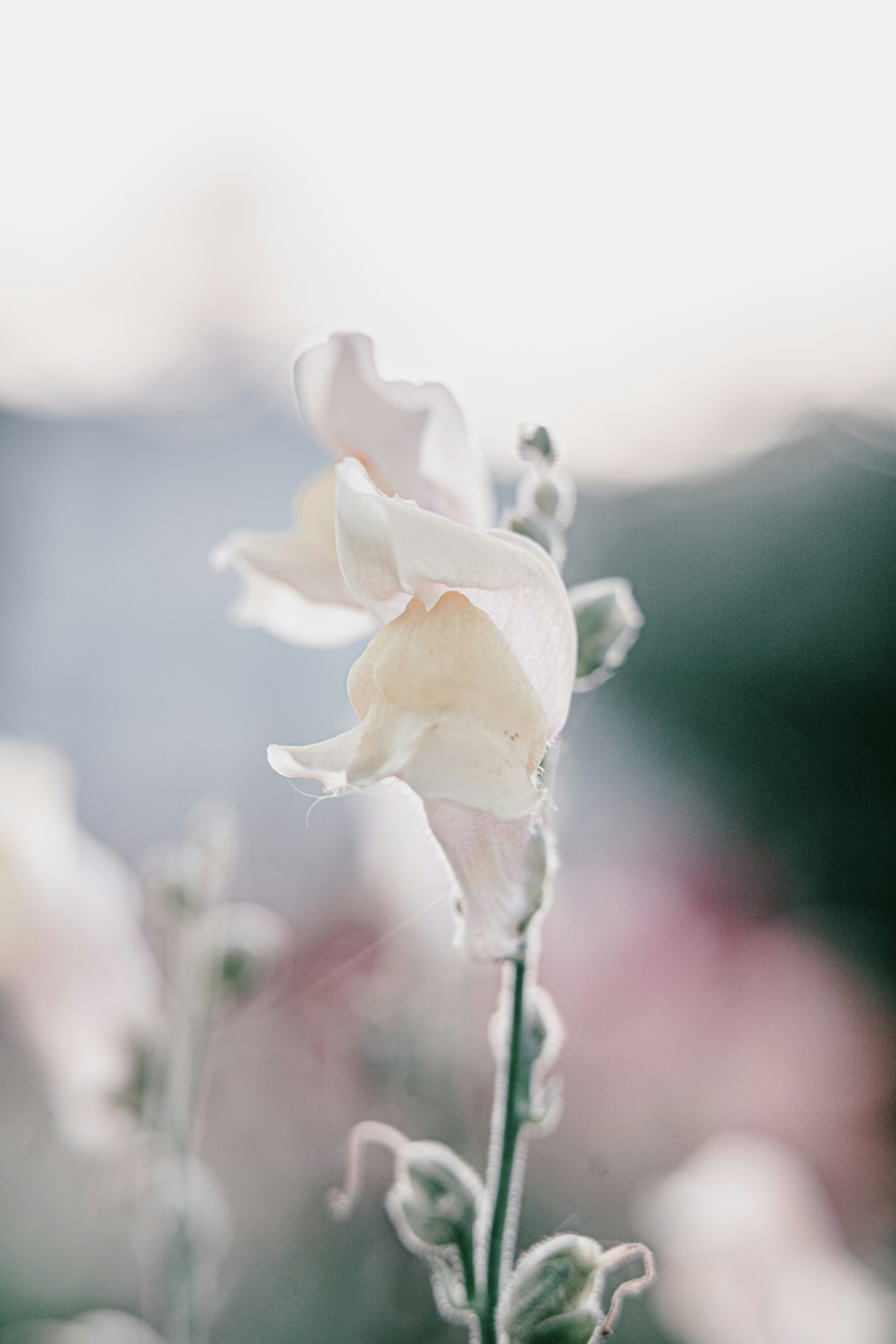 Photo by anamnesis33