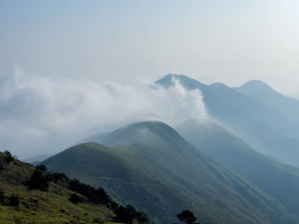 Rolling green hills and misty mornings in the scenic Kodaikanal landscape with winding roads.