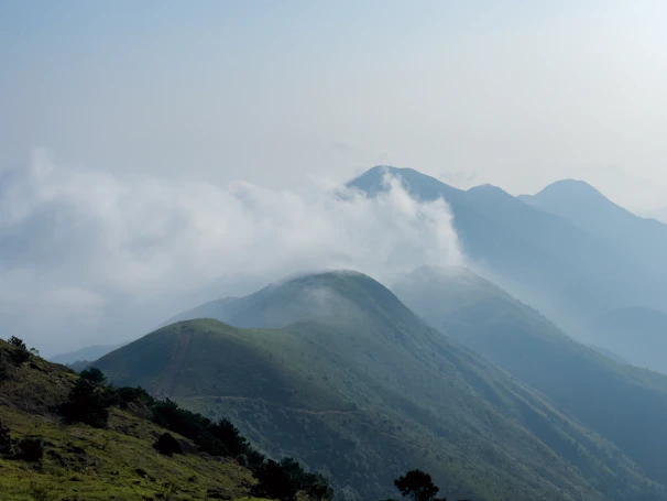 Rolling green hills and misty mornings in the scenic Kodaikanal landscape with winding roads.