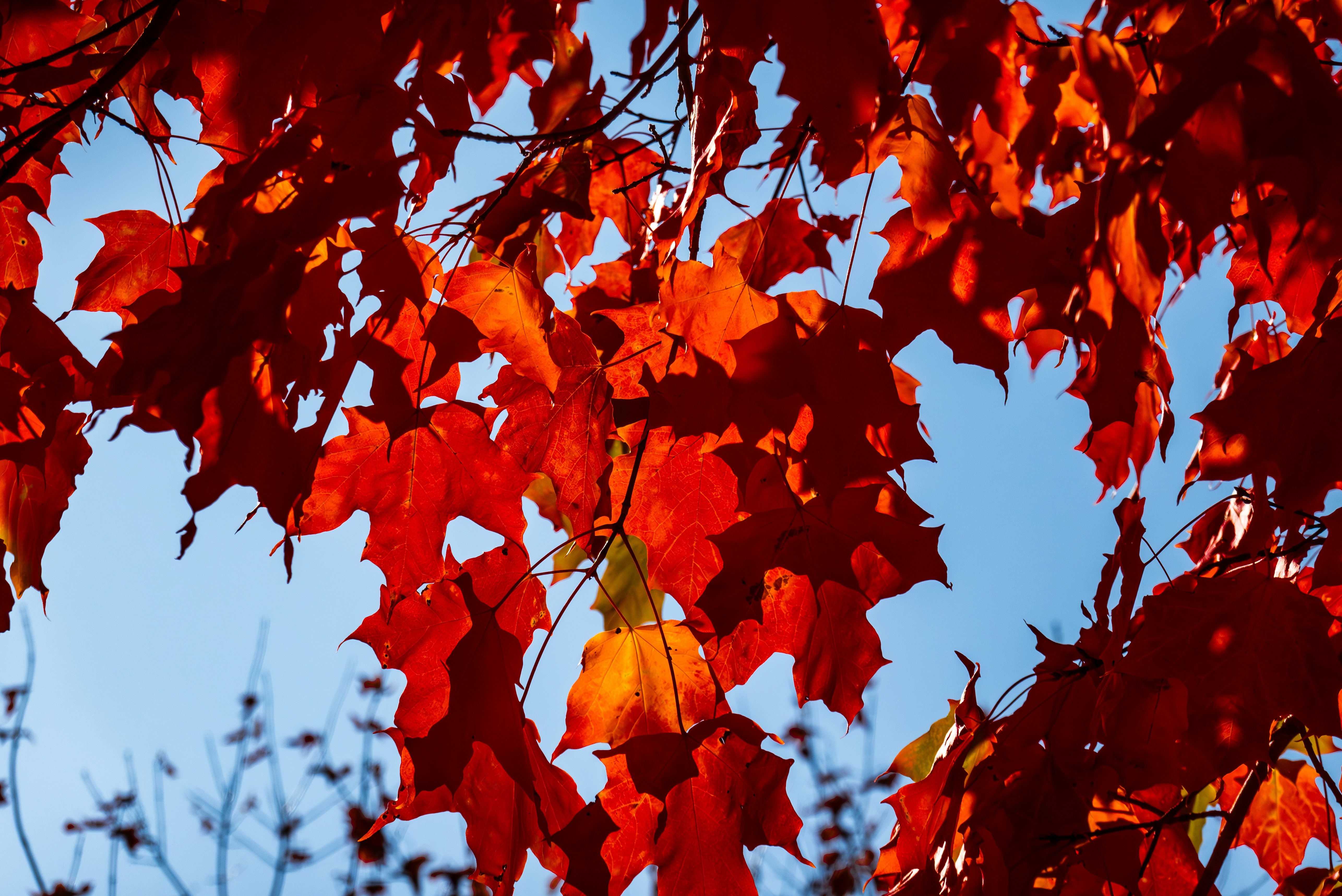 Photo by chris_robert