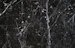 A dark marble surface characterized by intricate white veining and scattered white specks. The texture appears smooth and polished, common in natural stone countertops or flooring.