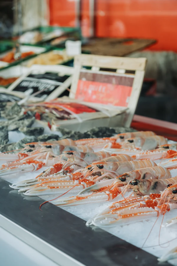 Freshly caught seafood on ice