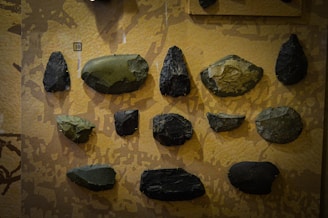 Stone tools arranged neatly at a Paleolithic factory site.
