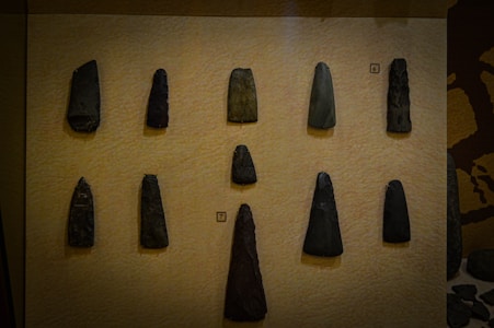 Eleven stone tools of varying sizes are displayed on a textured beige background. The tools appear to be ancient, possibly axes or chisels, with sharp edges and dark, smooth surfaces. They are arranged in a grid pattern, with each tool having a unique shape and size.