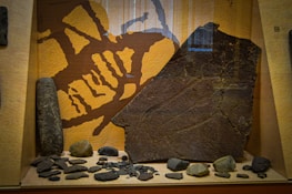 A display case contains various rocks and stone artifacts, with a large cracked slab prominently featured. The background has a pattern resembling ancient petroglyphs or cave paintings.