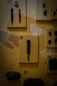 An image showing historical artifacts and a timeline on a classroom wall.