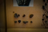 Several small fragments of pottery or similar artifacts are displayed on a textured beige surface. Each piece has distinctive patterns, some with lines and grooves, possibly indicative of ancient or archaeological significance. A number '8' features prominently on a small label next to the top left fragment.