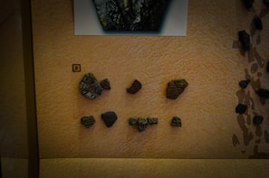 Several small fragments of pottery or similar artifacts are displayed on a textured beige surface. Each piece has distinctive patterns, some with lines and grooves, possibly indicative of ancient or archaeological significance. A number '8' features prominently on a small label next to the top left fragment.