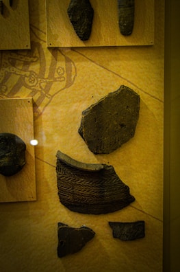 Various pieces of ancient pottery are displayed on a beige background. Each fragment features distinct textures and patterns, indicating they are part of historical artifacts. The pieces are mounted on plaques and arranged methodically, suggesting a museum exhibit.