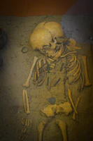 A researcher examining ancient human skeletal remains in a lab.