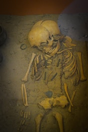 An archaeological display featuring an ancient skeletal remains partially covered in earth. The bones are arranged to show the structure of a human skeleton with visible skull, rib cage, and limbs. The surrounding soil and small artifacts suggest a historical or archaeological context.