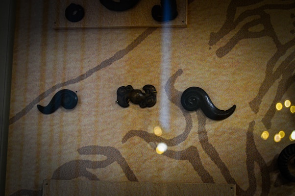 The image features a display of dark, curved objects that resemble animal horns or stylized decorations. They are set against a textured, patterned background with earthy tones, possibly part of a museum or art exhibit. The composition includes light reflections and a soft focus on some areas.