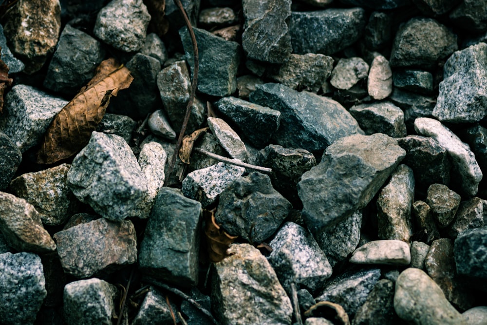 a pile of rocks and leaves on the ground