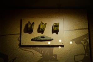 Four ancient artifacts displayed on a flat board, three of which appear to be carved bone or stone figures while the fourth is a longer, more horizontal piece. These items seem to be part of an archaeological exhibit, with soft lighting highlighting their features against a textured background.