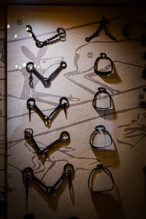 A display case containing various iron tools, each placed on a beige background with drawn animal outlines. These tools range in shape with some resembling hooks and others being more angular. The background has faint sketches and identifiers for each tool.