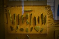 A display of various ancient tools or artifacts made from bone or stone, mounted on a mustard-colored background, likely within a museum exhibit.