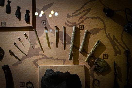 A collection of ancient artifacts displayed in a case. The items include various tools and ornaments arranged against a textured background with a faint image of an animal. Some of the items are numbered, such as a small comb and intricately carved handles or tools.